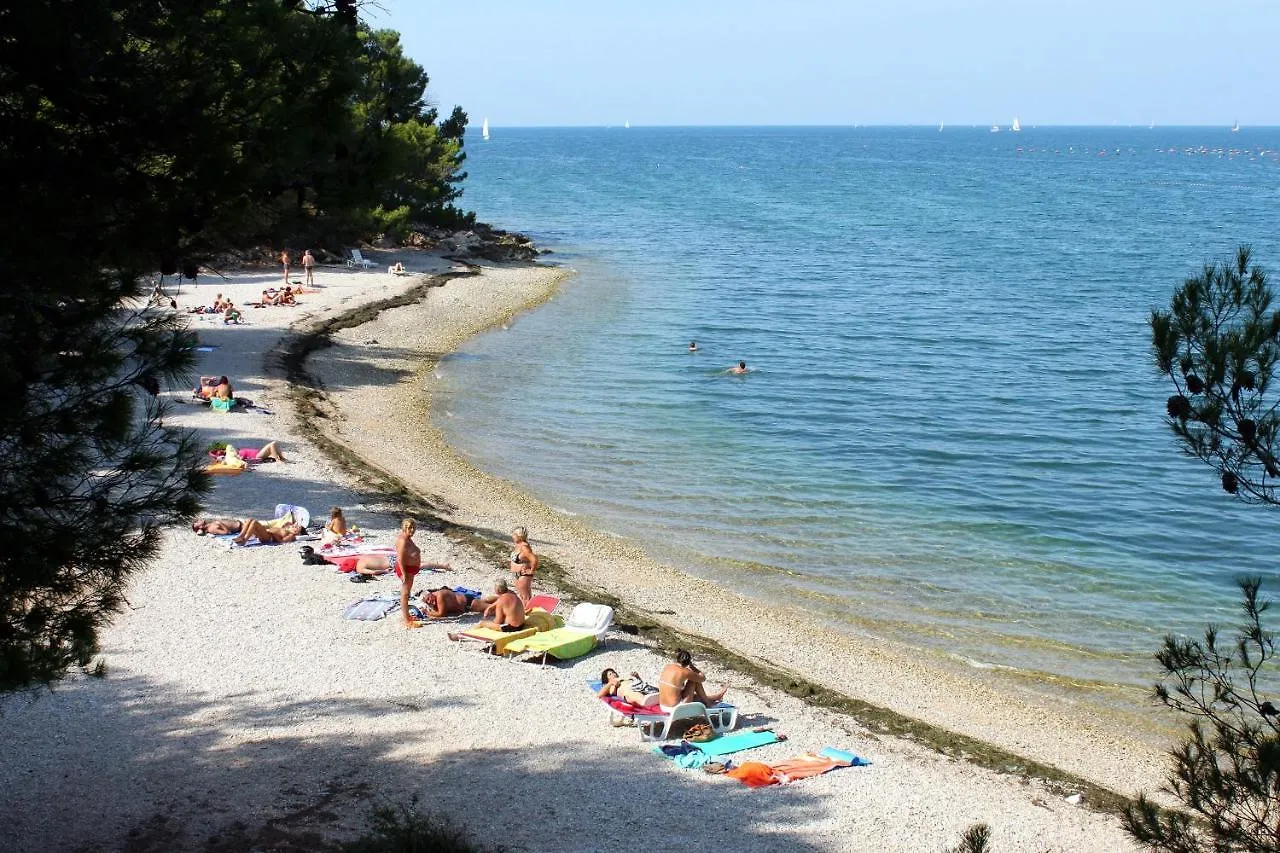 Family Friendly Apartments With A Swimming Pool Valica, Umag - 21926 Hırvatistan