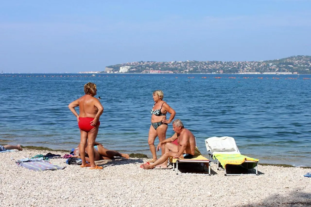 Family Friendly Apartments With A Swimming Pool Valica, Umag - 21926